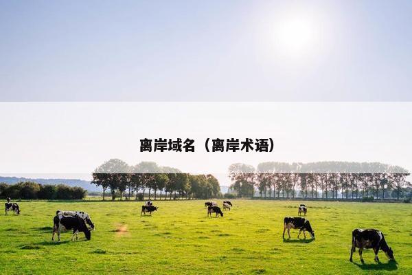 离岸域名（离岸术语）