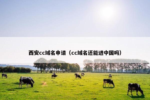 西安cc域名申请（cc域名还能进中国吗）