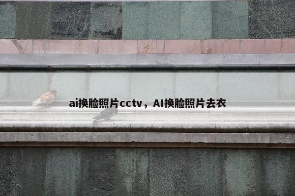 ai换脸照片cctv，AI换脸照片去衣