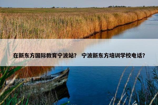 在新东方国际教育宁波站? 宁波新东方培训学校电话?
