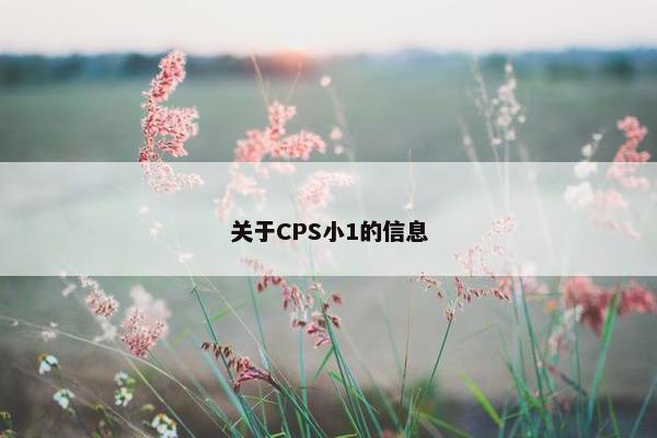 关于CPS小1的信息