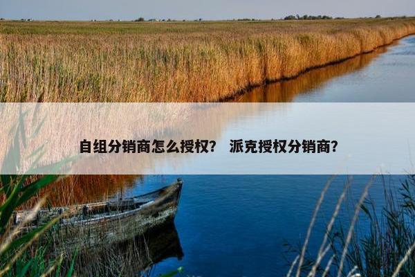 自组分销商怎么授权？ 派克授权分销商？