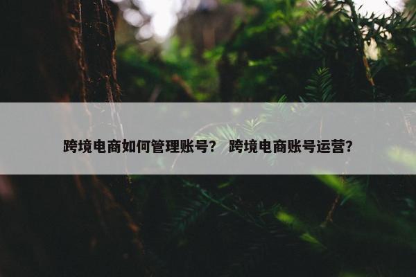 跨境电商如何管理账号? 跨境电商账号运营? 跨境电商如何管理账号? 跨境电商账号运营?