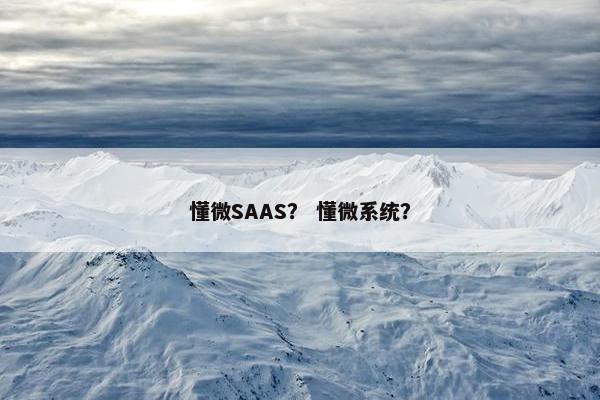 懂微SAAS？ 懂微系统？