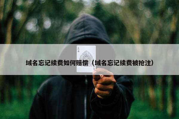 域名忘记续费如何赔偿（域名忘记续费被抢注）