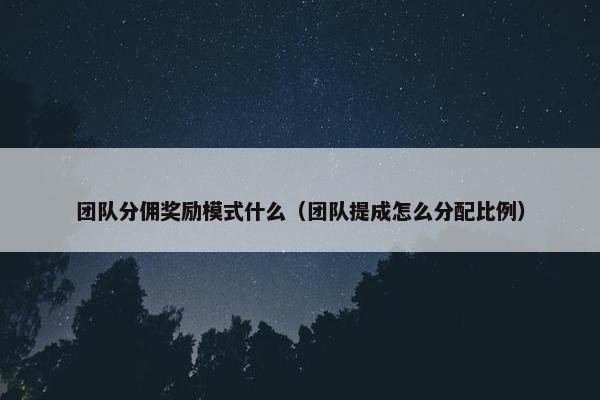 团队分佣奖励模式什么（团队提成怎么分配比例）