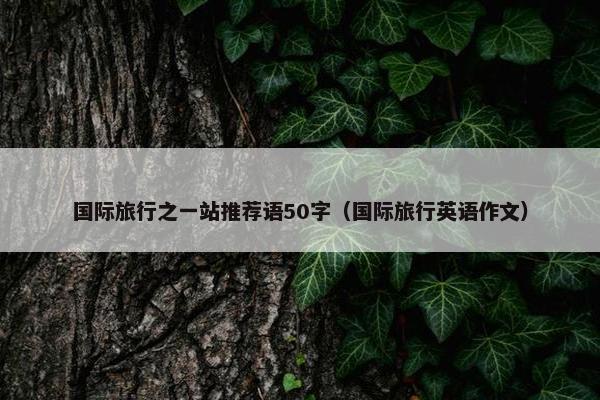 国际旅行之一站推荐语50字（国际旅行英语作文）