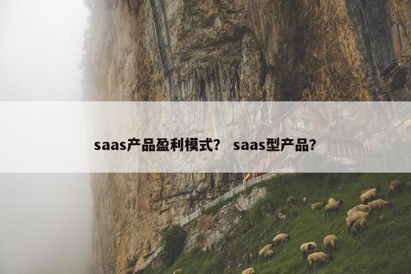 saas产品盈利模式？ saas型产品？
