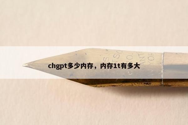 chgpt多少内存，内存1t有多大