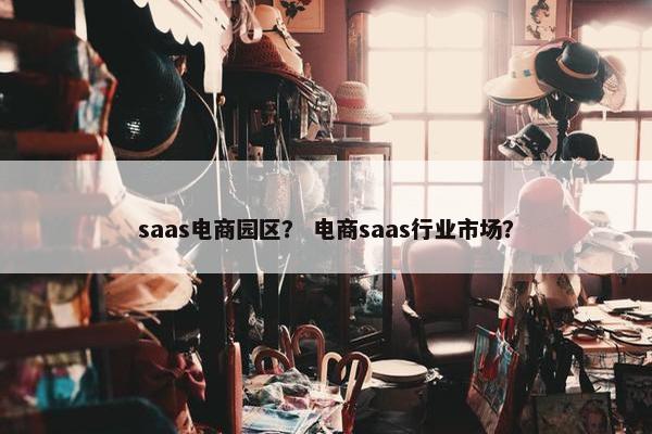saas电商园区？ 电商saas行业市场？