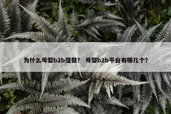 为什么母婴b2b值做？ 母婴b2b平台有哪几个？
