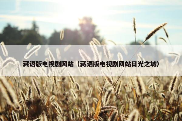 藏语版电视剧网站（藏语版电视剧网站日光之城）