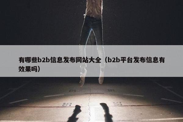 有哪些b2b信息发布网站大全（b2b平台发布信息有效果吗）