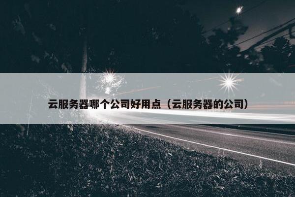 云服务器哪个公司好用点（云服务器的公司）