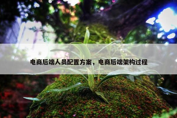 电商后端人员配置方案，电商后端架构过程