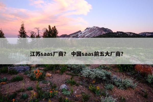 江苏saas厂商？ 中国saas前五大厂商？