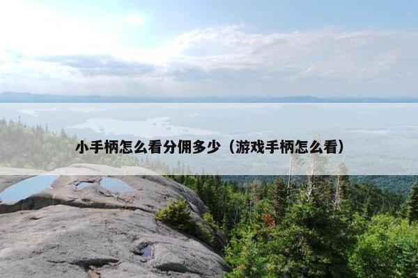 小手柄怎么看分佣多少（游戏手柄怎么看）