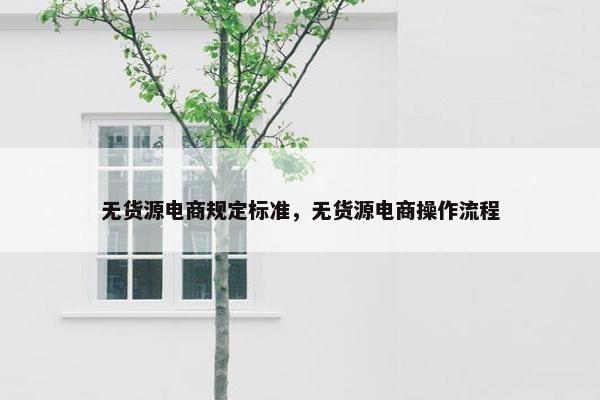 无货源电商规定标准，无货源电商操作流程