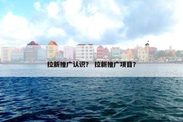 拉新推广认识？ 拉新推广项目？