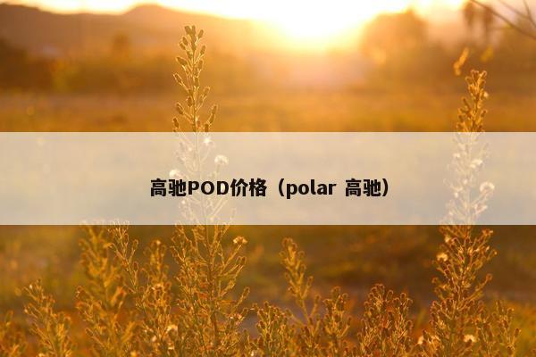 高驰POD价格（polar 高驰）