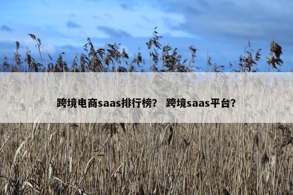 跨境电商saas排行榜？ 跨境saas平台？