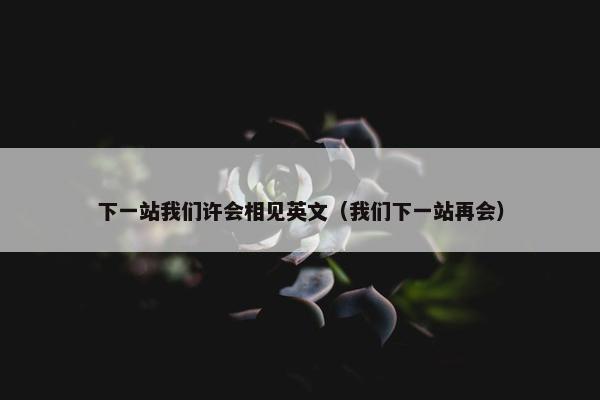 下一站我们许会相见英文（我们下一站再会）