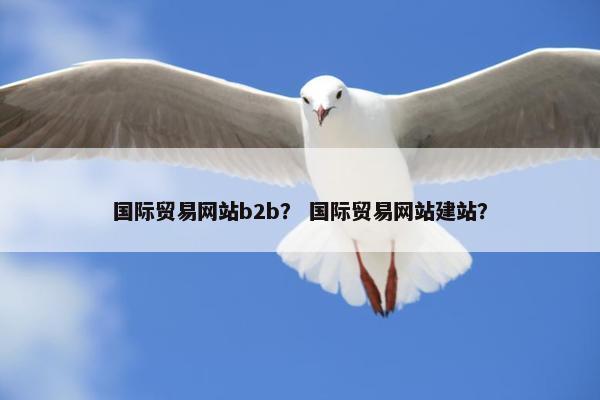 国际贸易网站b2b？ 国际贸易网站建站？
