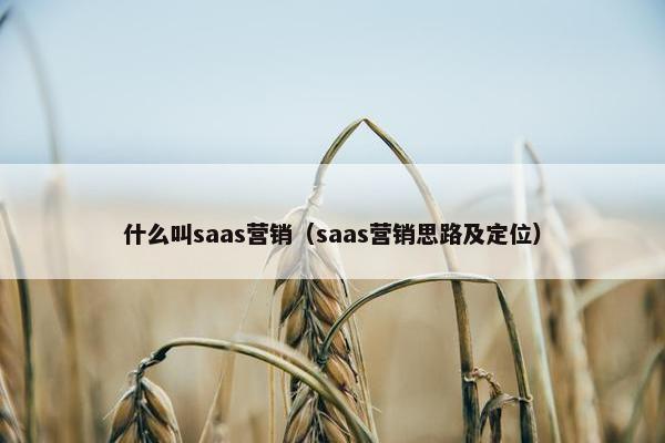 什么叫saas营销（saas营销思路及定位）