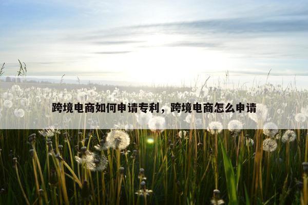 跨境电商如何申请专利，跨境电商怎么申请