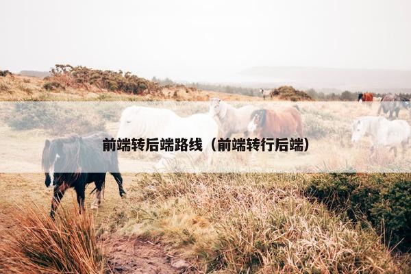 前端转后端路线（前端转行后端）