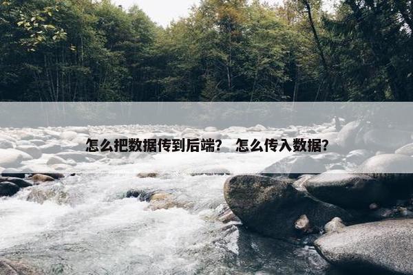 怎么把数据传到后端？ 怎么传入数据？