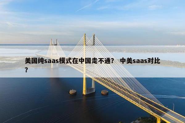 美国纯saas模式在中国走不通？ 中美saas对比？