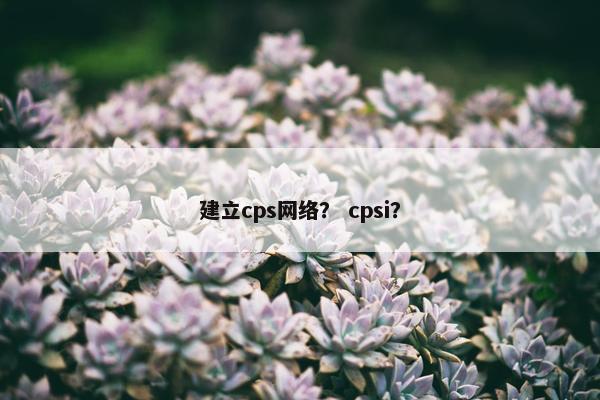 建立cps网络？ cpsi？