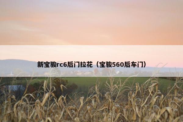 新宝骏rc6后门拉花（宝骏560后车门）