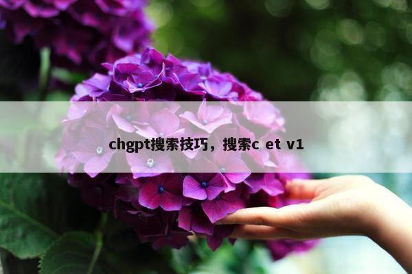 chgpt搜索技巧，搜索c et v1