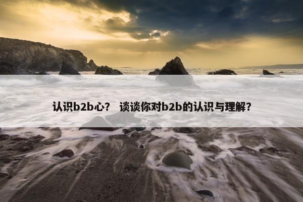 认识b2b心？ 谈谈你对b2b的认识与理解？
