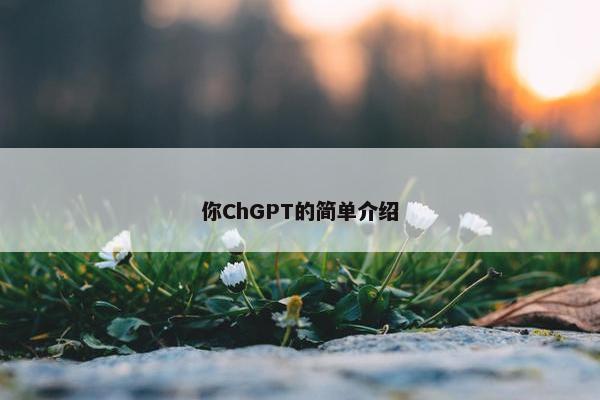 你ChGPT的简单介绍