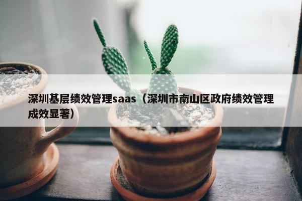 深圳基层绩效管理saas（深圳市南山区政府绩效管理成效显著）