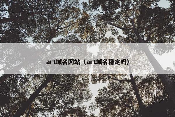 art域名网站（art域名稳定吗）