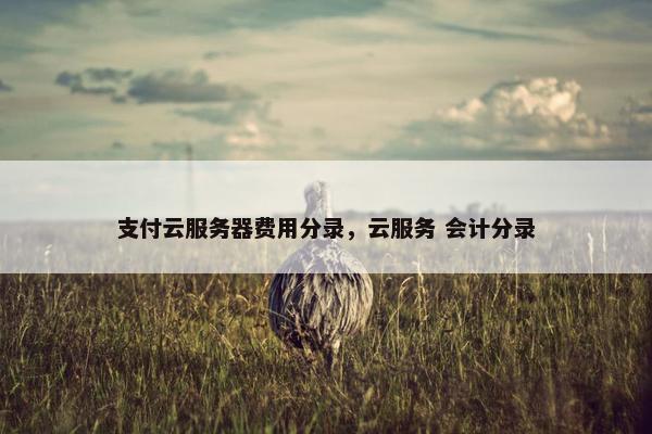 支付云服务器费用分录，云服务 会计分录