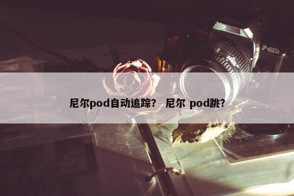 尼尔pod自动追踪？ 尼尔 pod跳？