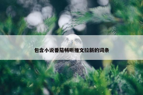 包含小说番茄畅听推文拉新的词条