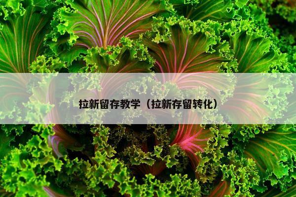 拉新留存教学（拉新存留转化）