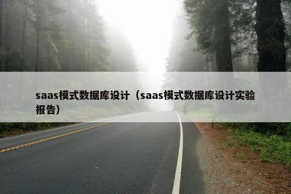 saas模式数据库设计（saas模式数据库设计实验报告）