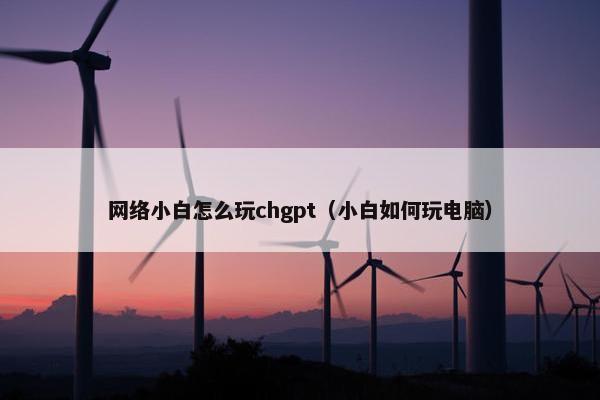 网络小白怎么玩chgpt（小白如何玩电脑）