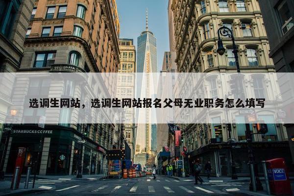 选调生网站，选调生网站报名父母无业职务怎么填写