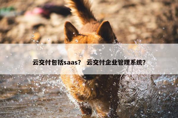云交付包括saas？ 云交付企业管理系统？