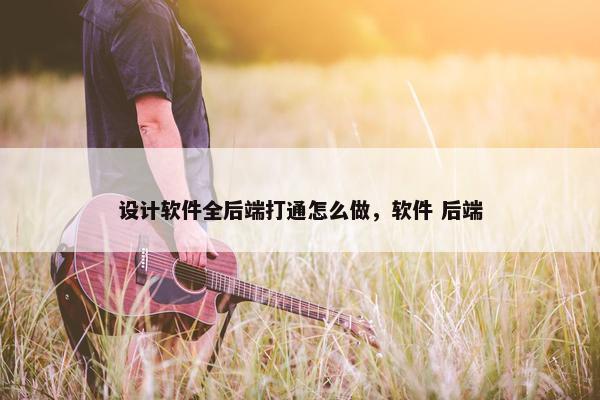设计软件全后端打通怎么做，软件 后端