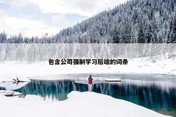 包含公司强制学习后端的词条