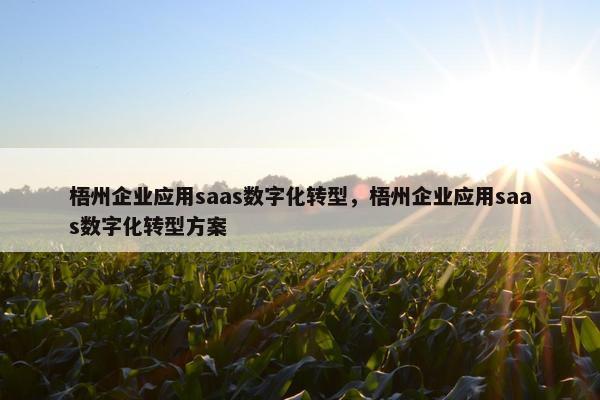 梧州企业应用saas数字化转型，梧州企业应用saas数字化转型方案